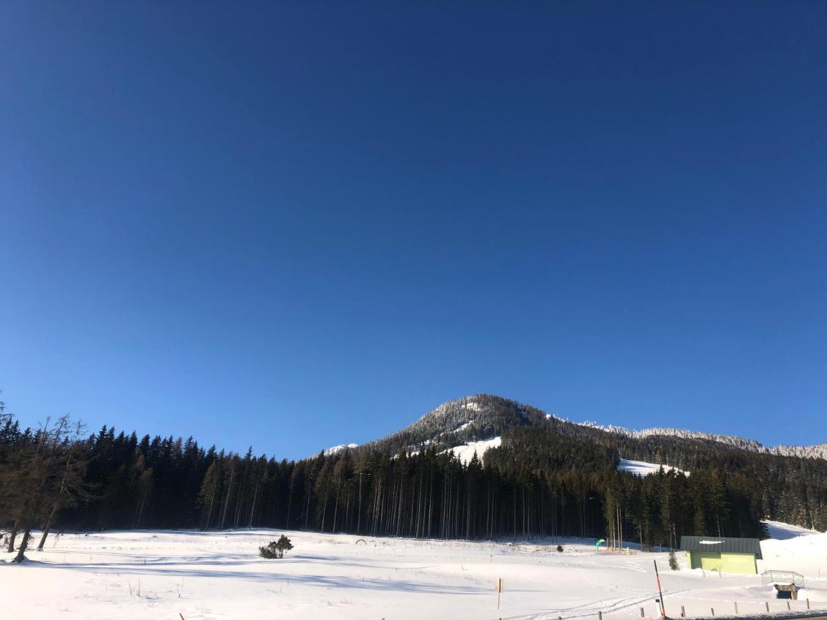 Appartement Schwab Ski In & Out Schladming Ngoại thất bức ảnh